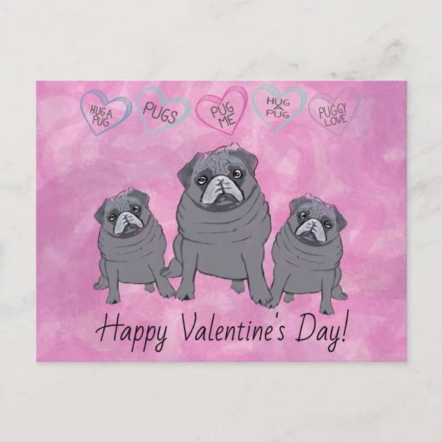 Carte Postale Valentin Pug Drôle (Devant)