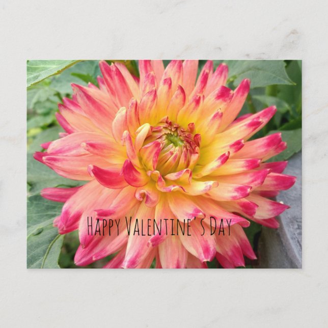 Carte postale Valentine avec dahlia rose et jaune (Devant)