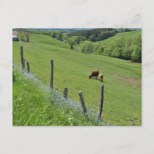 Carte Postale Vallée boisée, Auvergne
