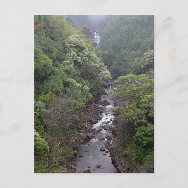 Carte Postale Vallée De La Rivière Près De Hilo, Hawaii (Devant)