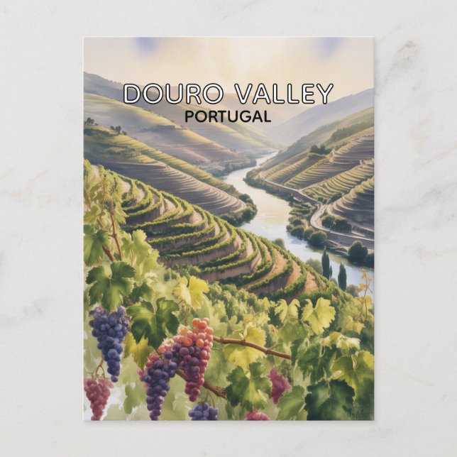 Carte Postale Vallée du Douro Portugal (Devant)
