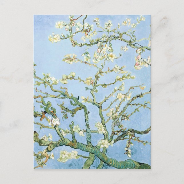 Carte Postale Van Gogh Almond Blossoms (Devant)