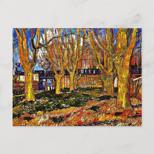 Carte Postale Van Gogh - Avenue des Arbres à Plan (Devant)