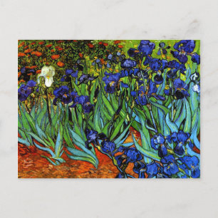 Carte Postale Van Gogh - Irises