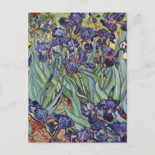 Carte Postale Van Gogh Irises Peinture impressionniste