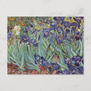 Carte Postale Van Gogh Irises Peinture impressionniste