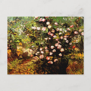 Carte Postale Van Gogh - Rose florissant Bush