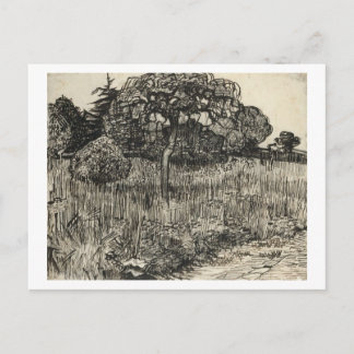 Carte Postale Van Gogh Weeping Tree sur une pelouse