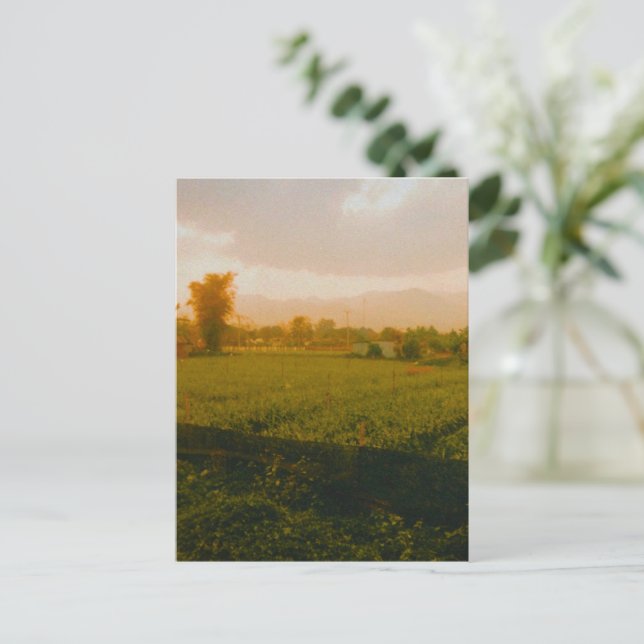 Carte Postale Vang Vieng - Laos (Debout devant)