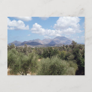 Carte Postale Vapeur d'olivier de montagne Pittoresque