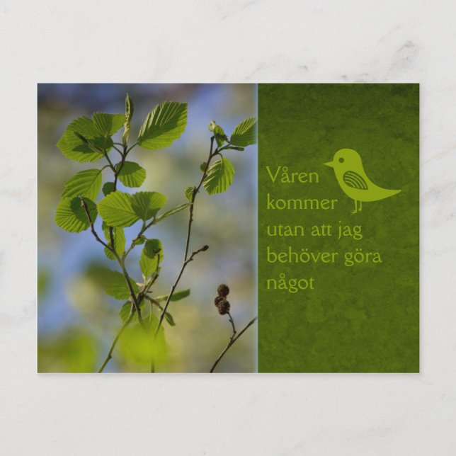 Carte Postale Våren kommer ändå CC0838 Slappna av (Devant)
