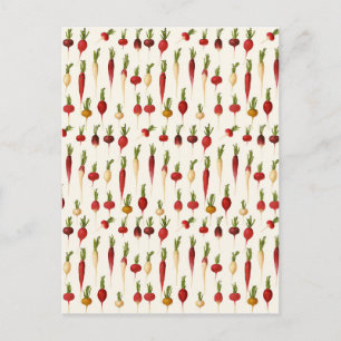 Carte Postale Variétés radicales d'Ernst Benary