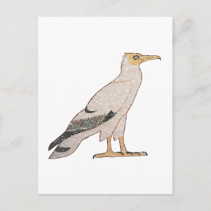 Carte Postale Vautour