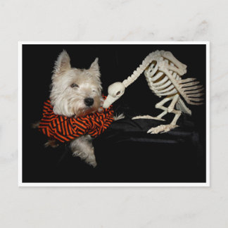 Carte Postale Vautour du monde occidental Squelette Halloween