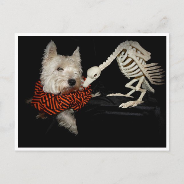 Carte Postale Vautour du monde occidental Squelette Halloween (Devant)