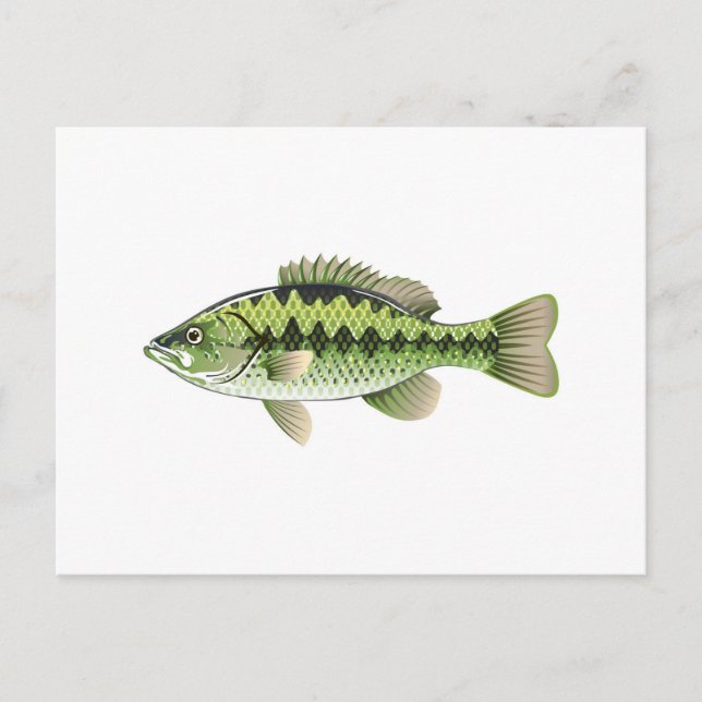 Carte Postale Vecteur de basse américain à grande bouche vert ta (Devant)