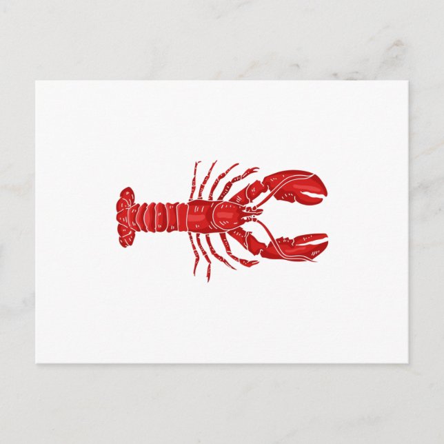 Carte Postale Vecteur de homard (Devant)