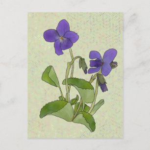 Carte Postale Veilchen
