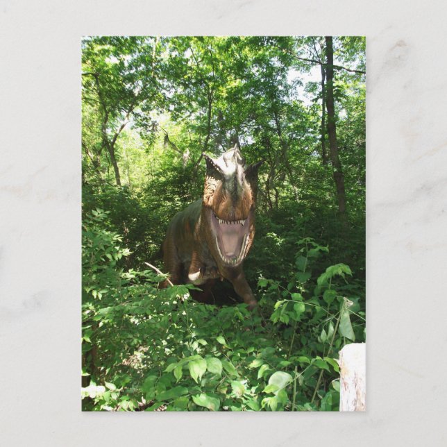 Carte Postale Velociraptor (Devant)