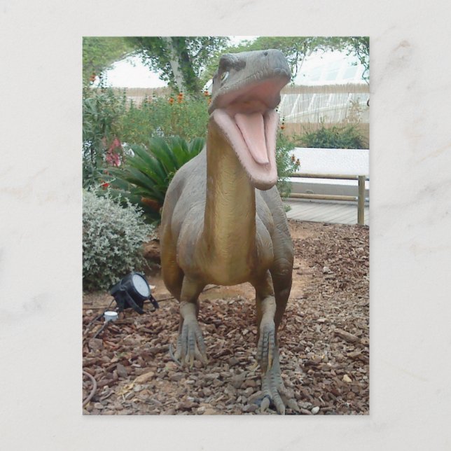 Carte postale Velociraptor Dinosaur (Devant)