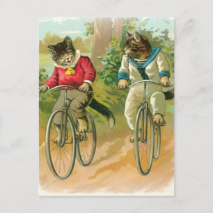 Carte Postale Vélos d'équitation chats