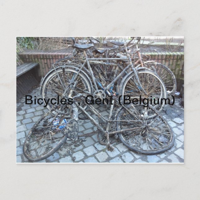 Carte Postale Vélos, Gand (Belgique) (Devant)