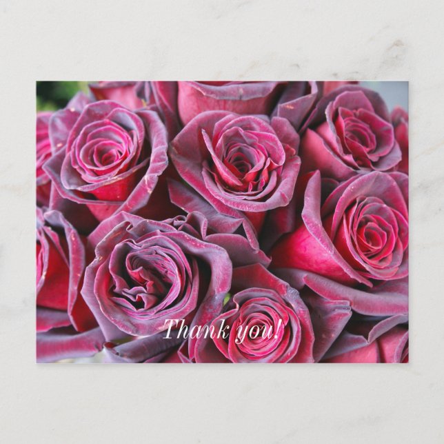 Carte postale Velvet Beauty Merci (Devant)