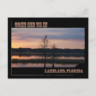 Carte Postale Venez nous voir à Lakeland, FL Postcard