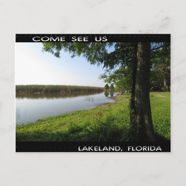Carte Postale Venez nous voir, Lakeland FL (Devant)