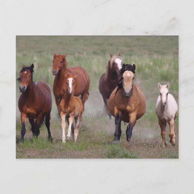 Carte Postale Venir À Toi (Devant)