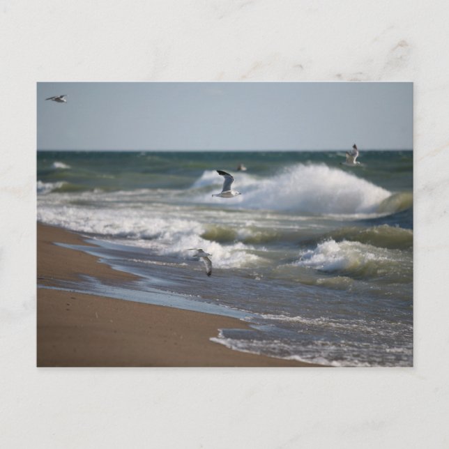 Carte Postale Vent (Devant)