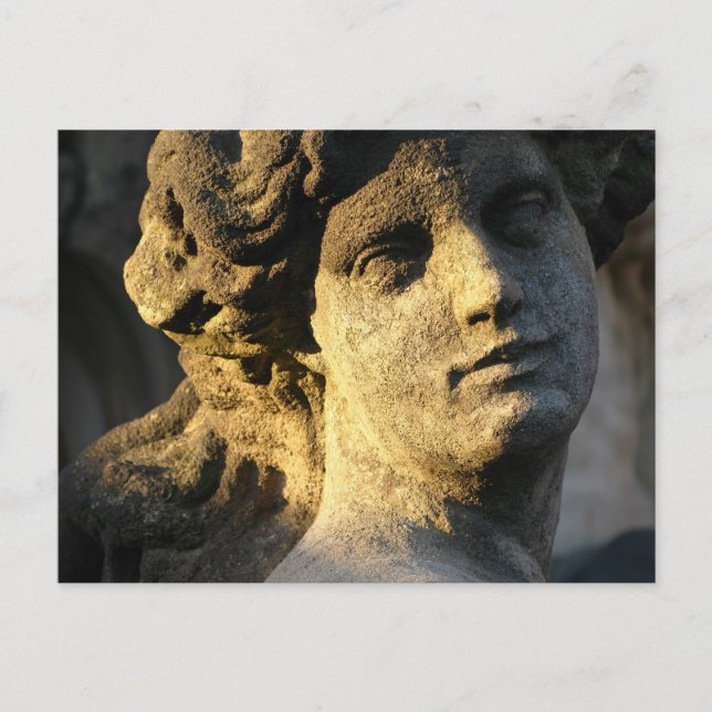 Carte Postale Vénus (Devant)