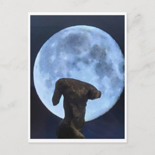 Carte Postale Vénus et la Lune