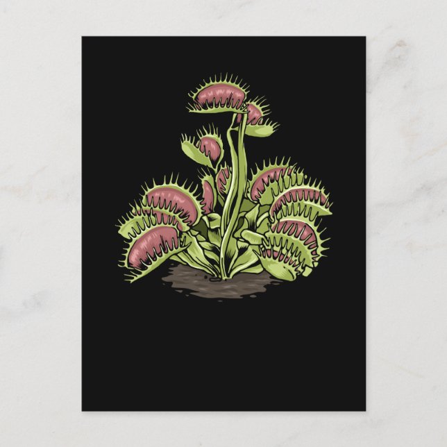 Carte Postale Vénus Trap Plante Carnivore Plante Vénus Fly (Devant)