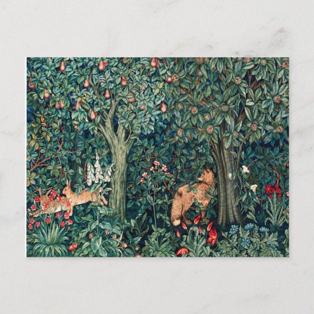 Carte Postale VERDURE, Hares d'ANIMAUX FORESTIERS, Renard, Flora (Devant)