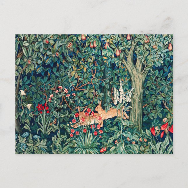 Carte Postale VERDURE, Hares d'ANIMAUX FORESTIERS, Vacances flor (Devant)