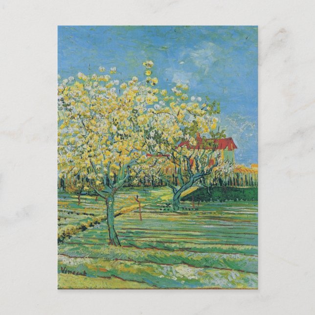 Carte Postale Verger à Blossom, Vincent van Gogh Art (Devant)