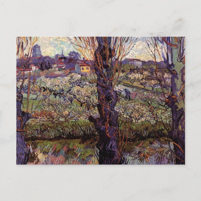 Carte Postale Verger en fleurs, Arles de Vincent van Gogh (Devant)