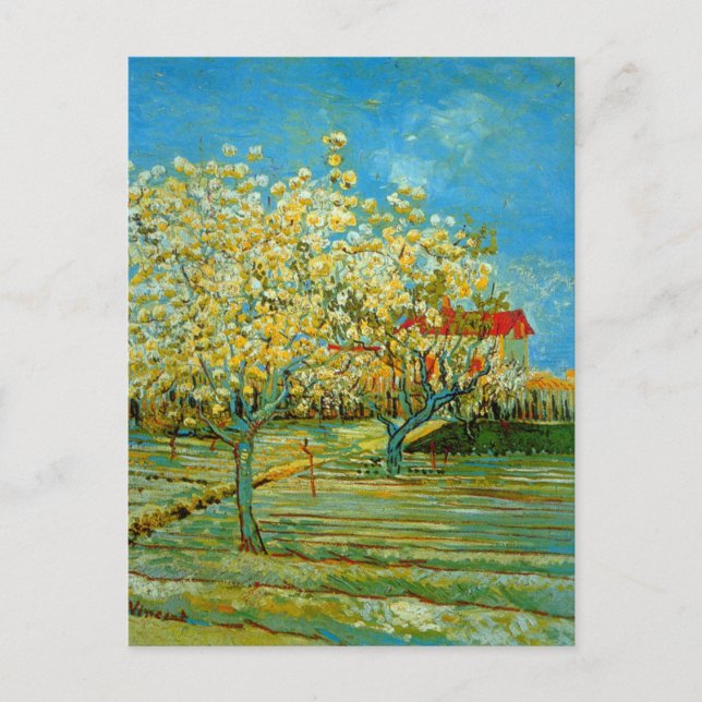 Carte Postale Verger en fleurs par Vincent van Gogh (Devant)