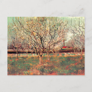Carte Postale Verger en fleurs, Pruniers de Vincent van Gogh