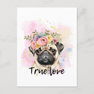 Carte Postale Véritable amour carlin amour, meilleur ami chien