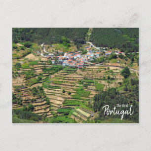 Carte Postale Véritable Portugal - Spectaculaire Agriculture En 