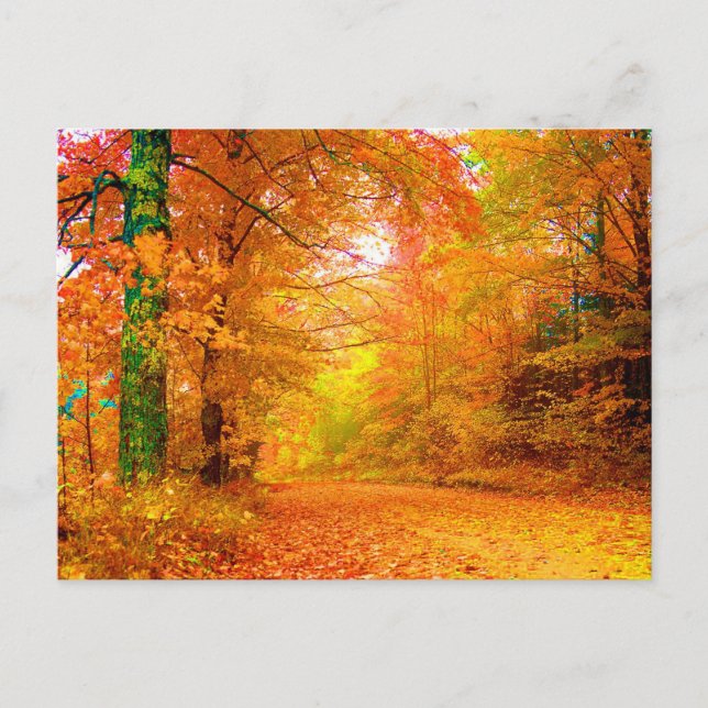 Carte Postale Vermont Autumn Fine Nature Landscape (Devant)