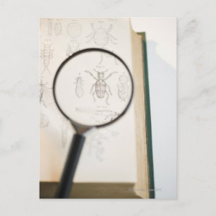 Carte Postale Verre retentissant sur le livre montrant des insec