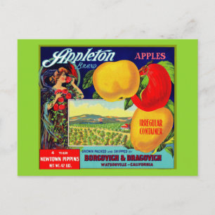 Carte Postale vers 1900 Appleton Apples crate étiquette