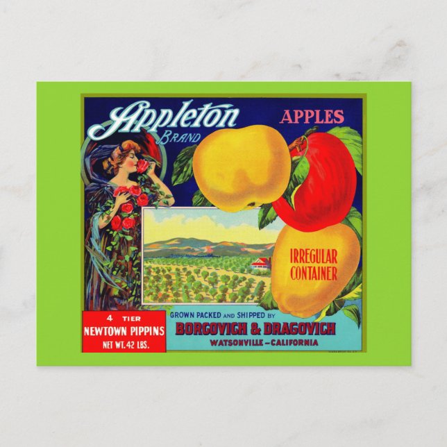 Carte Postale vers 1900 Appleton Apples crate étiquette (Devant)