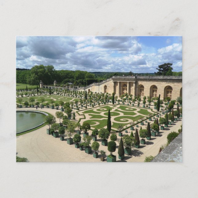 Carte postale Versailles Orangerie France Gardens (Devant)