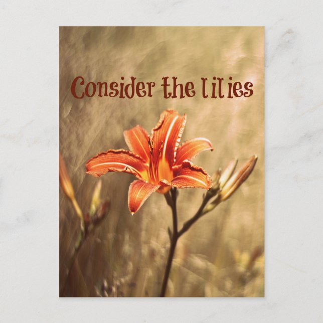 Carte Postale Verse biblique : Considérez les mensonges (Devant)