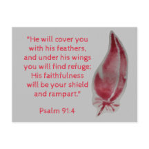 Carte postale Verse Psaume 91:4 Plumes