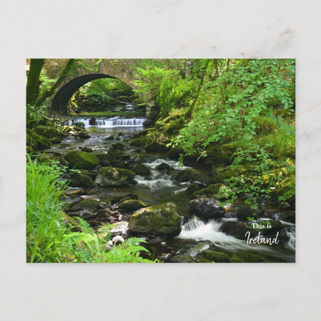 Carte Postale Vert Irlandais - Irlande (Devant)